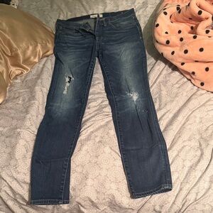 Madewell Classic Blue Skinny Jeans